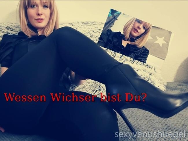 Wichser wichs vor mir