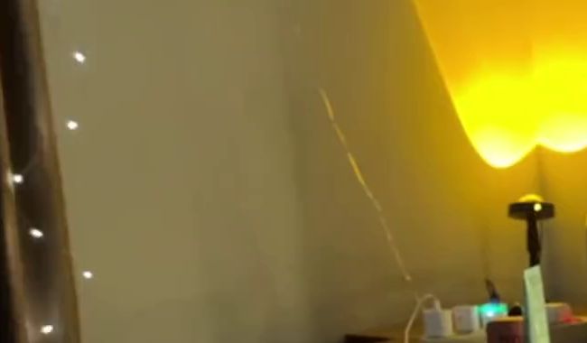 Muschispiele am Morgen vertreiben Kummer und Sorgen