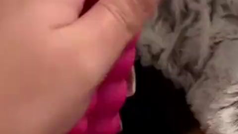 Eins meiner lieblings Spielzeuge