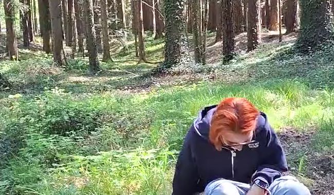 Goldener heisser Schauer im Wald …