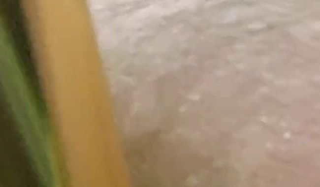 Mit dem Toy selbst verwöhnt