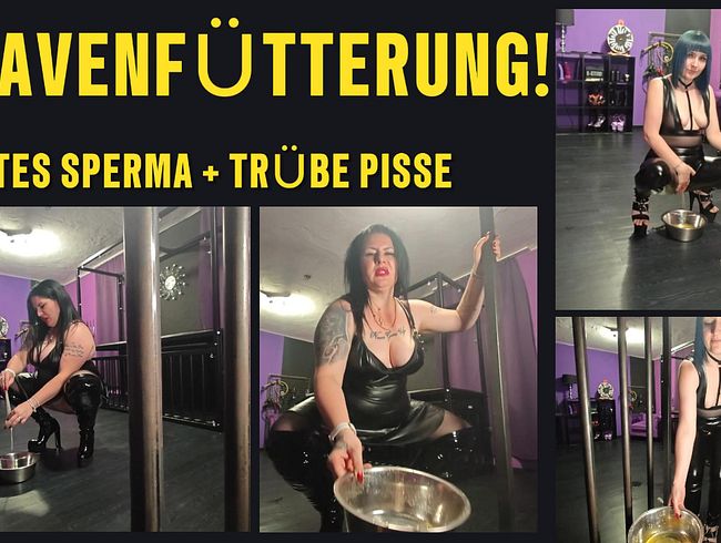 SKLAVEN FÜTTERUNG! 2 HERRINEN füllen Deinen Napf