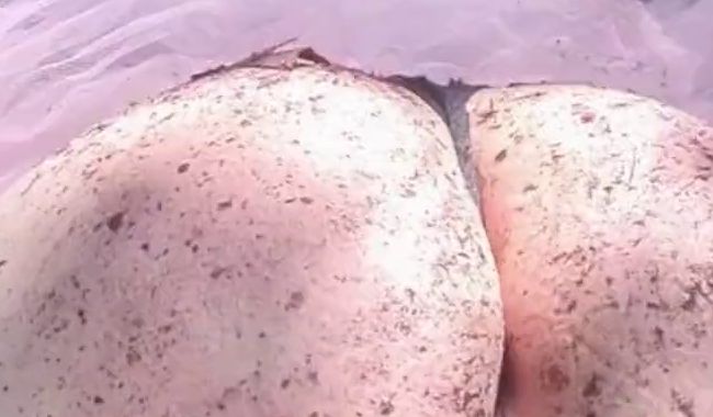 Niedliche Fee schüttelt ihren dreckigen A**** im Wald