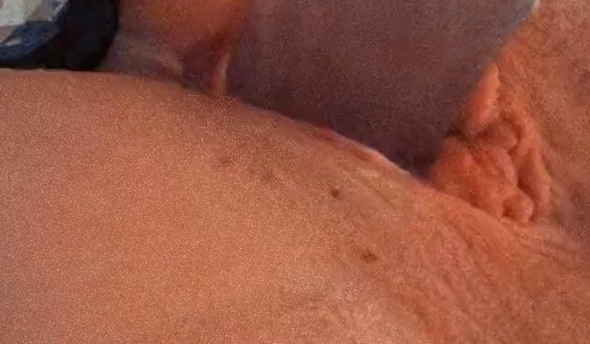 Sex mit Dildo und ein Analyse Plug im Arsch