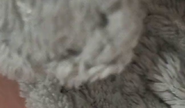 Userwunsch – Pissselfie