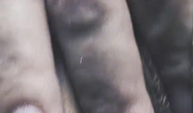 Wenn dich die Lust, beim Wandern überkommt ??