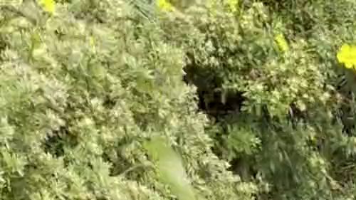 Auf Öffentlichen Parkplatz gepisst