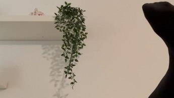 Endlich wieder mal ANAL bis ich explodiere!! Geht da NOCH MEHR?!