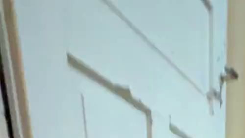 Kurzer Einblick mit meinem toy