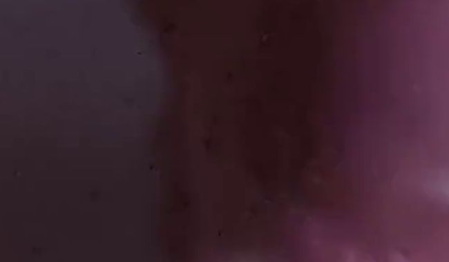 Meinen Mann erlöst.