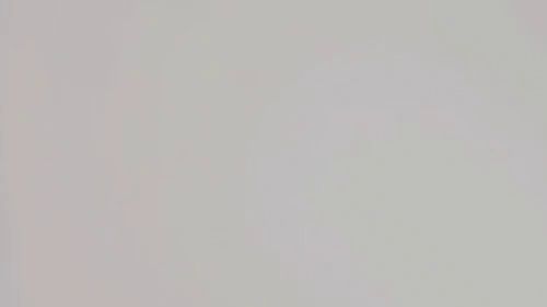 Vorstellungsvideo! ??