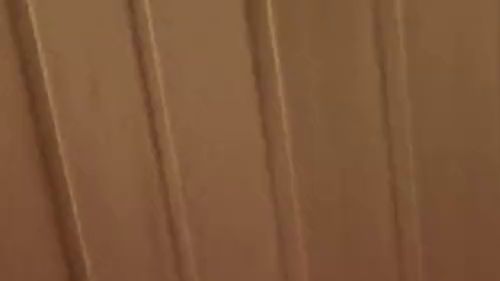 In der öffentlichen Sauna den Schwanz gelutscht