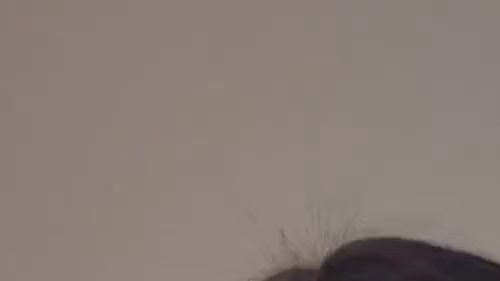 Mein Vorstellungsvideo