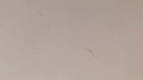 Hot MILF plays with her big e tits and is horny as fuck ??