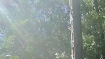 Piss-Handstand-Fontäne