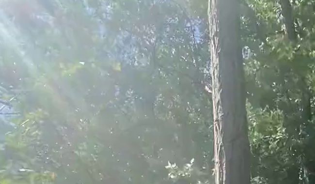 Piss-Handstand-Fontäne