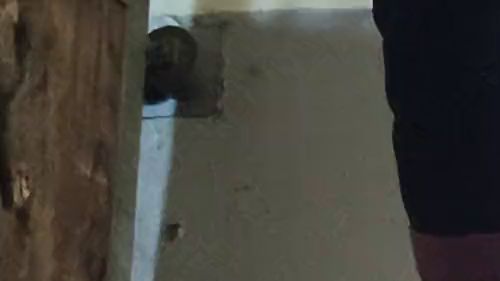 Natursekt in der Box