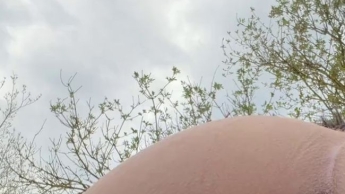 NS Video Outdoor in Doggy