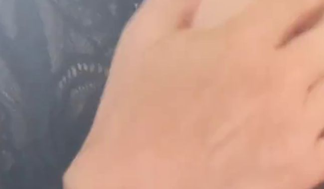 Ich streichel meine prallen brüste zart mit meinen fingern….